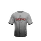 Jersey  Gris 2024